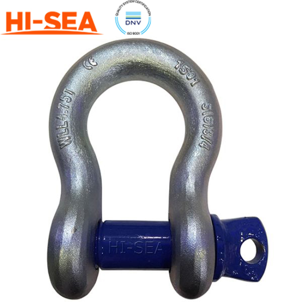 Electro Galvanized Shackle 